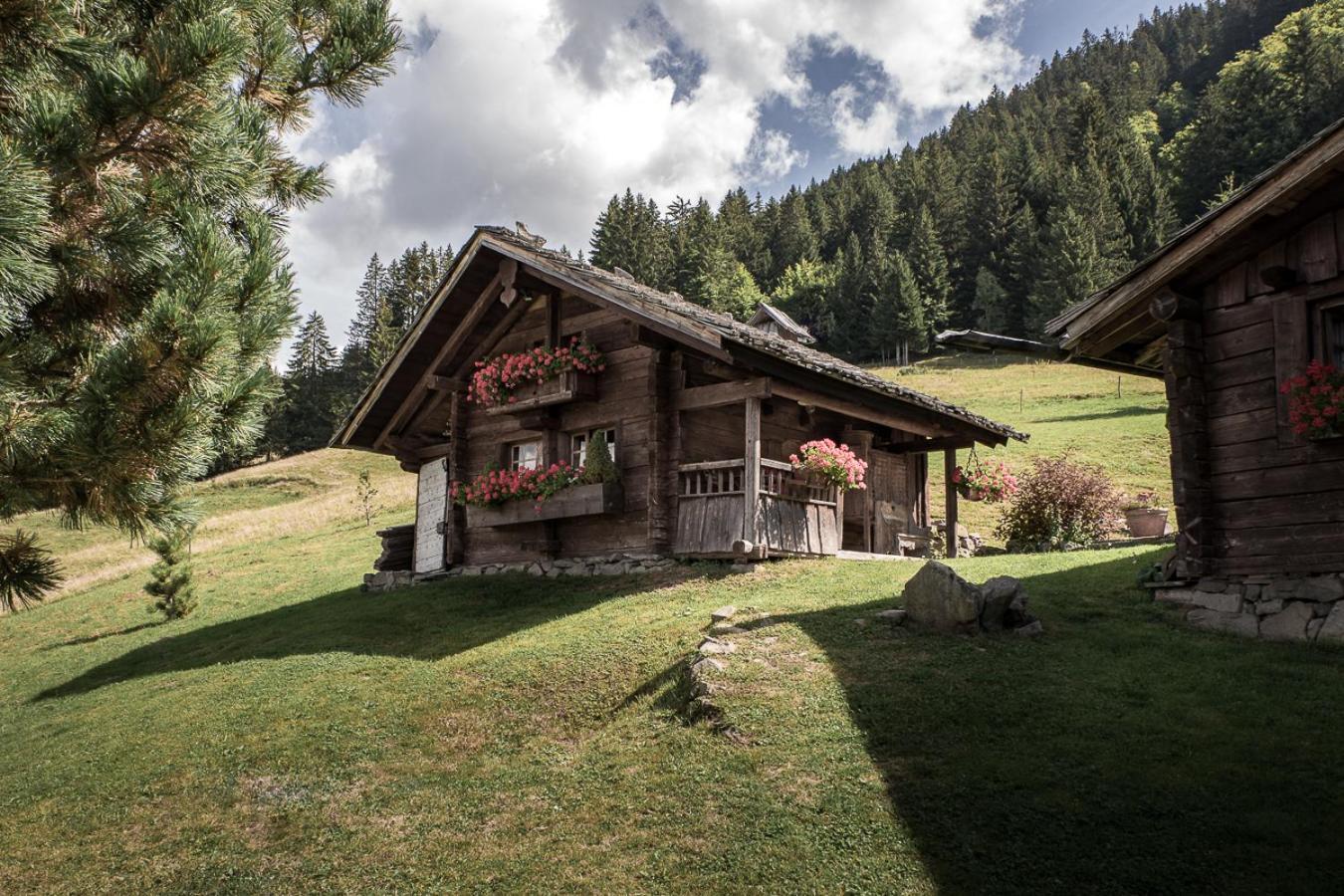 La Ferme Des Vonezins Hotel Thones Exterior photo